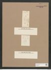 Navicula sp. (de-Toni-Nr.: Genus 1) Zeichnungen Sammlung Grunow Nr. 1644 (NHMW-BOT-W0368200)